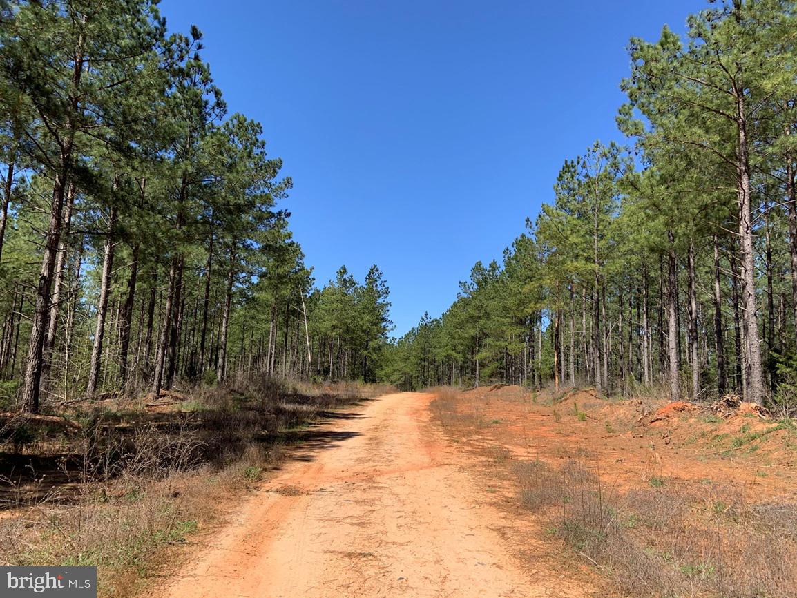WILDWAY & WATT ABBITT RD (TRACT: BURRUSS &, APPOMATTOX, Virginia 24522, ,Farm,For Sale,WILDWAY & WATT ABBITT RD (TRACT: BURRUSS &,VAAV2000040 MLS # VAAV2000040 WILDWAY & WATT ABBITT RD (TRACT: BURRUSS &, APPOMATTOX, Virginia 24522, ,Farm,For Sale,WILDWAY & WATT ABBITT RD (TRACT: BURRUSS &,VAAV2000040 MLS # VAAV2000040