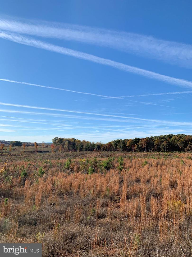 WILDWAY & WATT ABBITT RD (TRACT: BURRUSS &, APPOMATTOX, Virginia 24522, ,Farm,For Sale,WILDWAY & WATT ABBITT RD (TRACT: BURRUSS &,VAAV2000040 MLS # VAAV2000040 WILDWAY & WATT ABBITT RD (TRACT: BURRUSS &, APPOMATTOX, Virginia 24522, ,Farm,For Sale,WILDWAY & WATT ABBITT RD (TRACT: BURRUSS &,VAAV2000040 MLS # VAAV2000040
