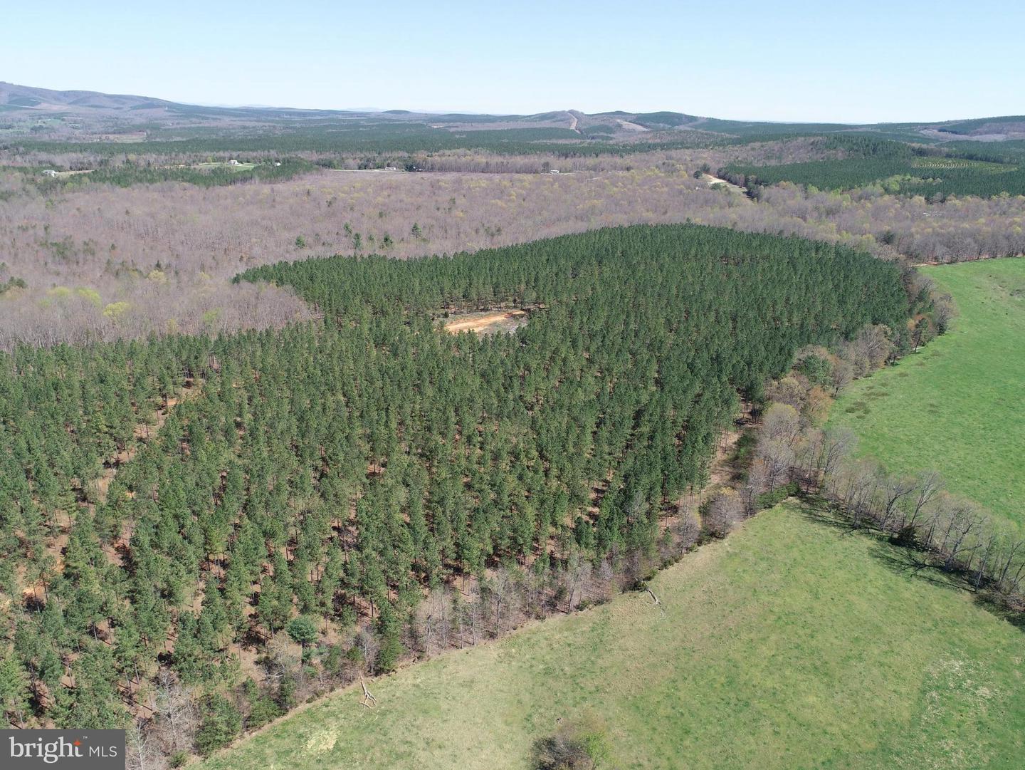 WILDWAY & WATT ABBITT RD (TRACT: BURRUSS &, APPOMATTOX, Virginia 24522, ,Farm,For Sale,WILDWAY & WATT ABBITT RD (TRACT: BURRUSS &,VAAV2000040 MLS # VAAV2000040 WILDWAY & WATT ABBITT RD (TRACT: BURRUSS &, APPOMATTOX, Virginia 24522, ,Farm,For Sale,WILDWAY & WATT ABBITT RD (TRACT: BURRUSS &,VAAV2000040 MLS # VAAV2000040