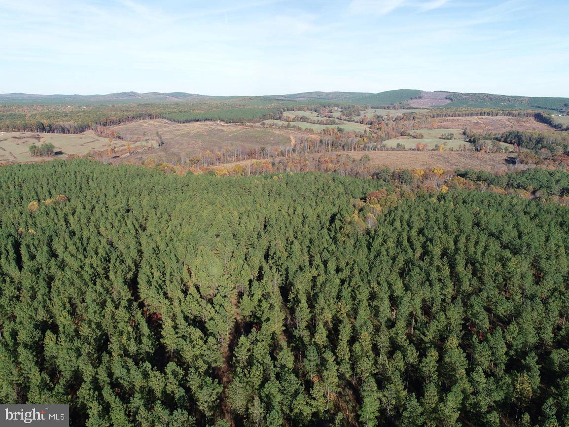 WILDWAY & WATT ABBITT RD (TRACT: BURRUSS &, APPOMATTOX, Virginia 24522, ,Farm,For Sale,WILDWAY & WATT ABBITT RD (TRACT: BURRUSS &,VAAV2000040 MLS # VAAV2000040 WILDWAY & WATT ABBITT RD (TRACT: BURRUSS &, APPOMATTOX, Virginia 24522, ,Farm,For Sale,WILDWAY & WATT ABBITT RD (TRACT: BURRUSS &,VAAV2000040 MLS # VAAV2000040