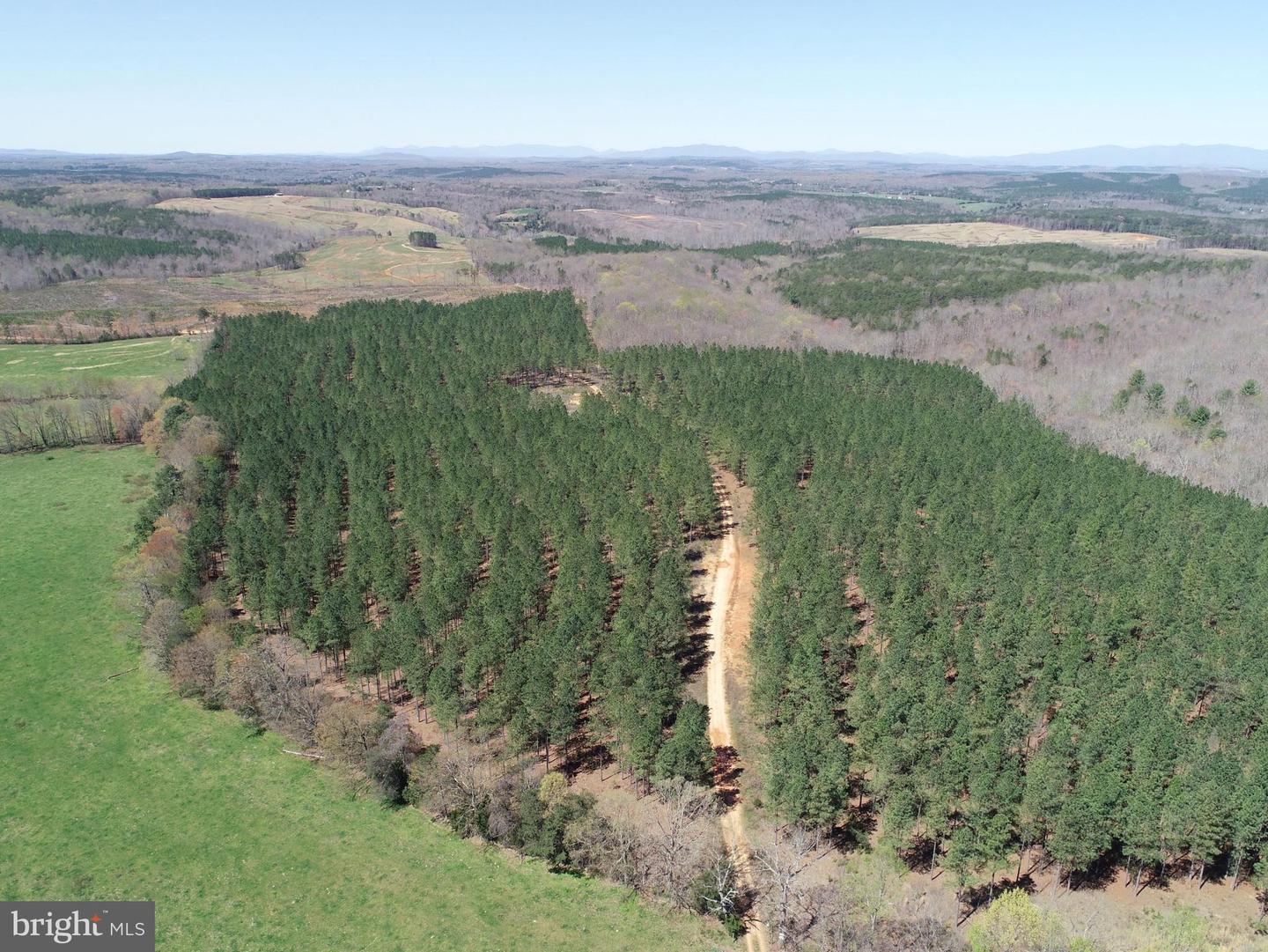 WILDWAY & WATT ABBITT RD (TRACT: BURRUSS &, APPOMATTOX, Virginia 24522, ,Farm,For Sale,WILDWAY & WATT ABBITT RD (TRACT: BURRUSS &,VAAV2000040 MLS # VAAV2000040 WILDWAY & WATT ABBITT RD (TRACT: BURRUSS &, APPOMATTOX, Virginia 24522, ,Farm,For Sale,WILDWAY & WATT ABBITT RD (TRACT: BURRUSS &,VAAV2000040 MLS # VAAV2000040