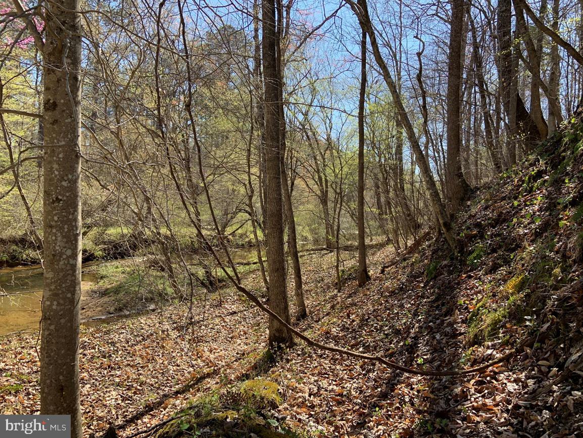 WILDWAY & WATT ABBITT RD (TRACT: BURRUSS &, APPOMATTOX, Virginia 24522, ,Farm,For Sale,WILDWAY & WATT ABBITT RD (TRACT: BURRUSS &,VAAV2000040 MLS # VAAV2000040 WILDWAY & WATT ABBITT RD (TRACT: BURRUSS &, APPOMATTOX, Virginia 24522, ,Farm,For Sale,WILDWAY & WATT ABBITT RD (TRACT: BURRUSS &,VAAV2000040 MLS # VAAV2000040