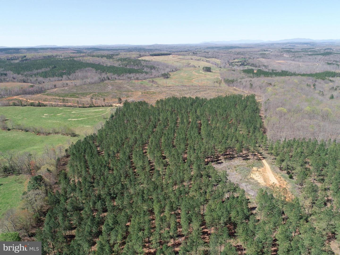 WILDWAY & WATT ABBITT RD (TRACT: BURRUSS &, APPOMATTOX, Virginia 24522, ,Farm,For Sale,WILDWAY & WATT ABBITT RD (TRACT: BURRUSS &,VAAV2000040 MLS # VAAV2000040 WILDWAY & WATT ABBITT RD (TRACT: BURRUSS &, APPOMATTOX, Virginia 24522, ,Farm,For Sale,WILDWAY & WATT ABBITT RD (TRACT: BURRUSS &,VAAV2000040 MLS # VAAV2000040