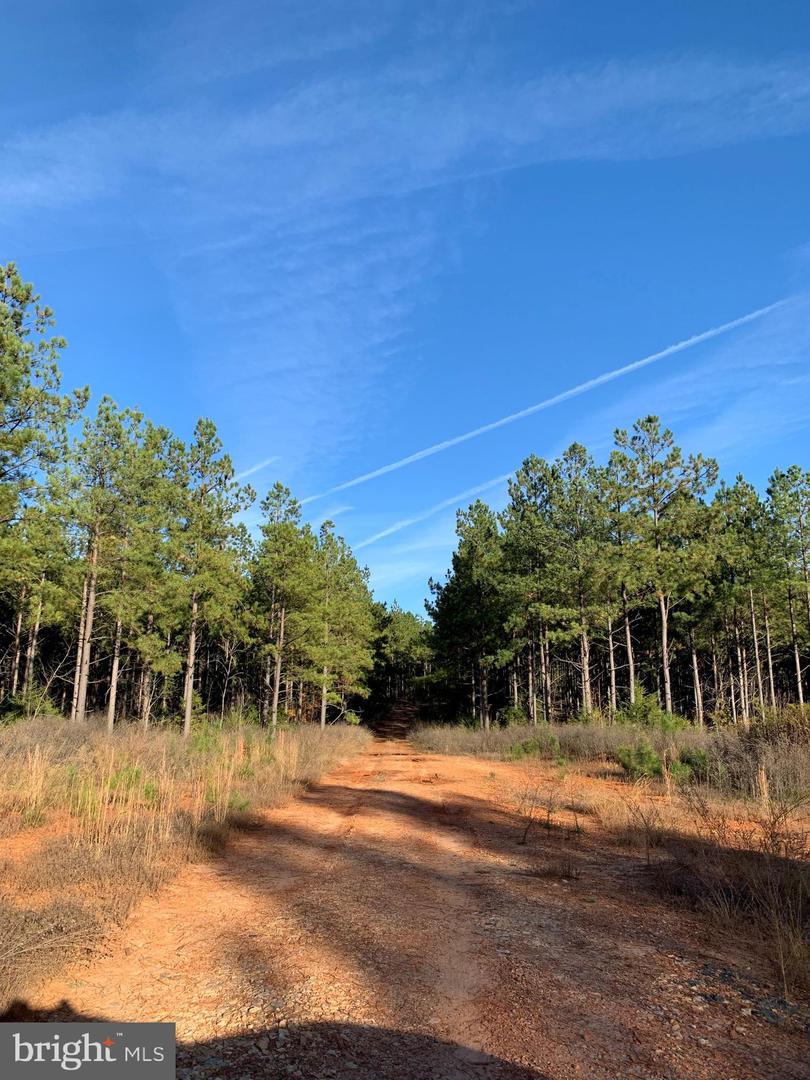 WILDWAY & WATT ABBITT RD (TRACT: BURRUSS &, APPOMATTOX, Virginia 24522, ,Farm,For Sale,WILDWAY & WATT ABBITT RD (TRACT: BURRUSS &,VAAV2000040 MLS # VAAV2000040 WILDWAY & WATT ABBITT RD (TRACT: BURRUSS &, APPOMATTOX, Virginia 24522, ,Farm,For Sale,WILDWAY & WATT ABBITT RD (TRACT: BURRUSS &,VAAV2000040 MLS # VAAV2000040