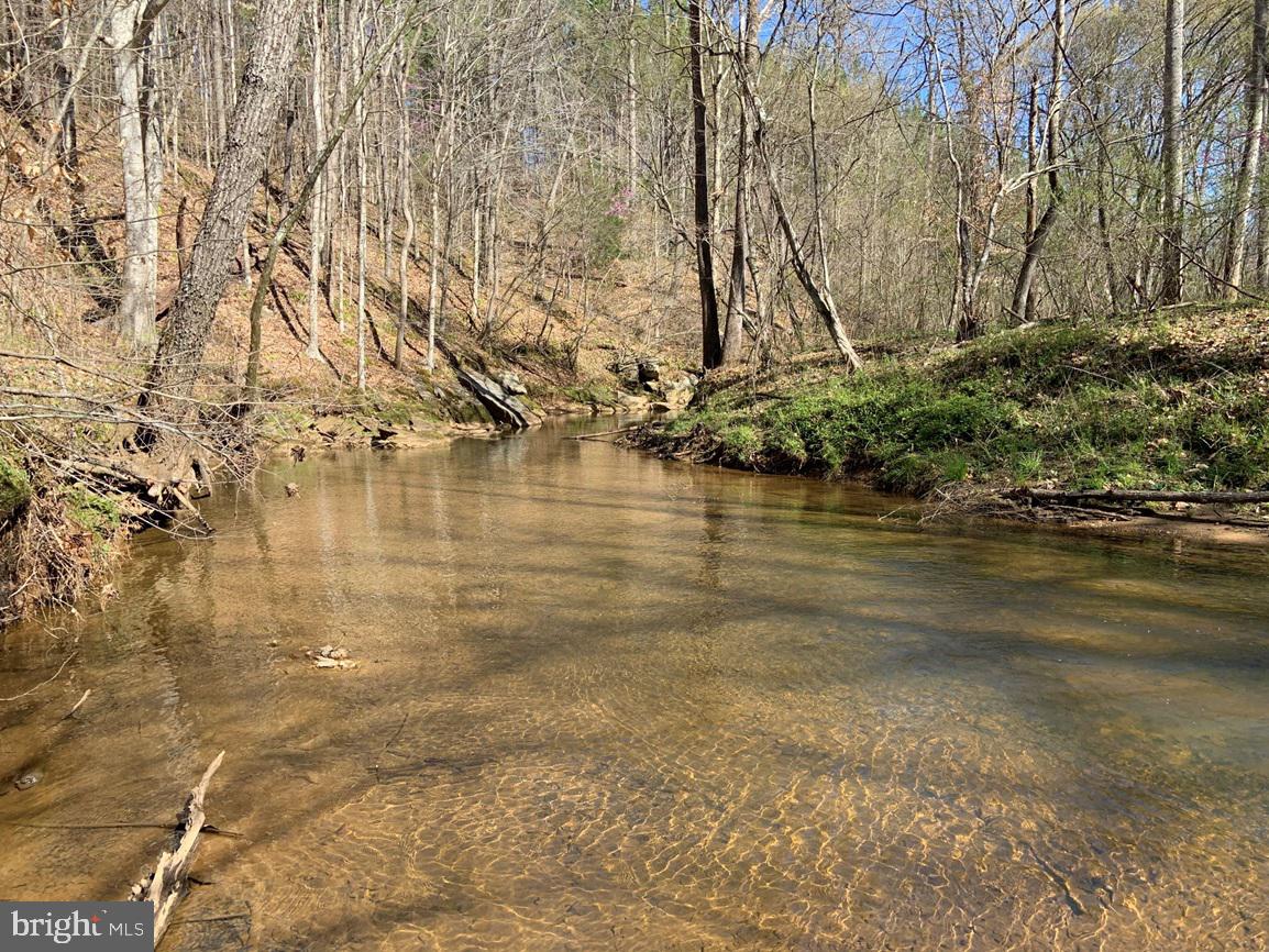 WILDWAY & WATT ABBITT RD (TRACT: BURRUSS &, APPOMATTOX, Virginia 24522, ,Farm,For Sale,WILDWAY & WATT ABBITT RD (TRACT: BURRUSS &,VAAV2000040 MLS # VAAV2000040 WILDWAY & WATT ABBITT RD (TRACT: BURRUSS &, APPOMATTOX, Virginia 24522, ,Farm,For Sale,WILDWAY & WATT ABBITT RD (TRACT: BURRUSS &,VAAV2000040 MLS # VAAV2000040
