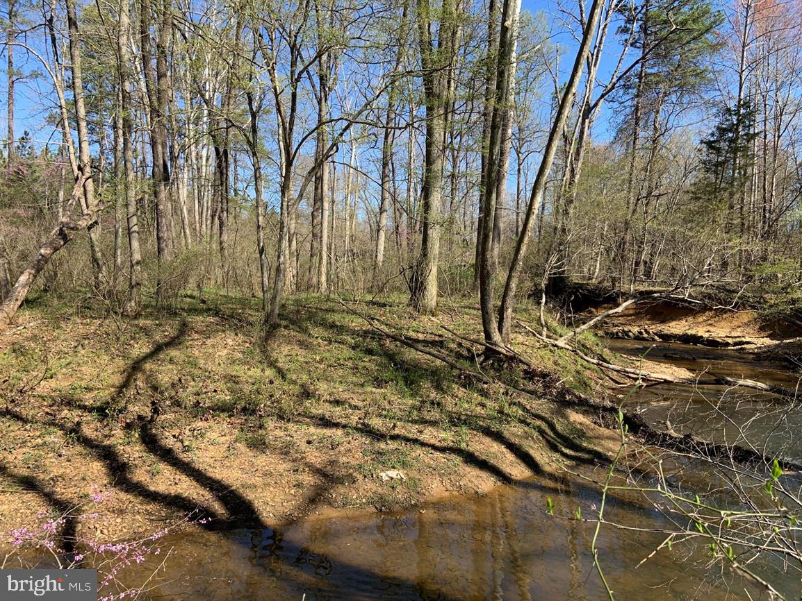 WILDWAY & WATT ABBITT RD (TRACT: BURRUSS &, APPOMATTOX, Virginia 24522, ,Farm,For Sale,WILDWAY & WATT ABBITT RD (TRACT: BURRUSS &,VAAV2000040 MLS # VAAV2000040 WILDWAY & WATT ABBITT RD (TRACT: BURRUSS &, APPOMATTOX, Virginia 24522, ,Farm,For Sale,WILDWAY & WATT ABBITT RD (TRACT: BURRUSS &,VAAV2000040 MLS # VAAV2000040
