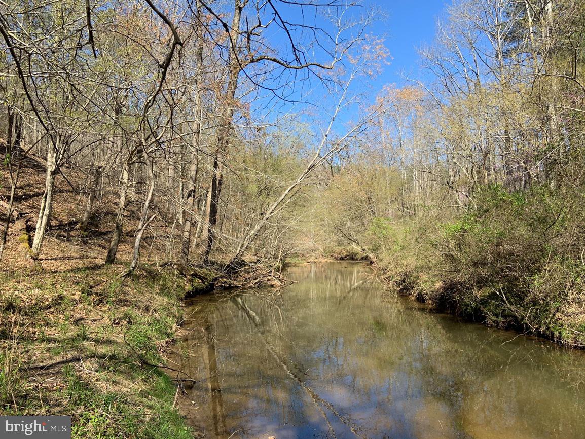 WILDWAY & WATT ABBITT RD (TRACT: BURRUSS &, APPOMATTOX, Virginia 24522, ,Farm,For Sale,WILDWAY & WATT ABBITT RD (TRACT: BURRUSS &,VAAV2000040 MLS # VAAV2000040 WILDWAY & WATT ABBITT RD (TRACT: BURRUSS &, APPOMATTOX, Virginia 24522, ,Farm,For Sale,WILDWAY & WATT ABBITT RD (TRACT: BURRUSS &,VAAV2000040 MLS # VAAV2000040