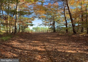 WILDWAY & WATT ABBITT RD (TRACT: BURRUSS &, APPOMATTOX, Virginia 24522, ,Farm,For Sale,WILDWAY & WATT ABBITT RD (TRACT: BURRUSS &,VAAV2000040 MLS # VAAV2000040 WILDWAY & WATT ABBITT RD (TRACT: BURRUSS &, APPOMATTOX, Virginia 24522, ,Farm,For Sale,WILDWAY & WATT ABBITT RD (TRACT: BURRUSS &,VAAV2000040 MLS # VAAV2000040