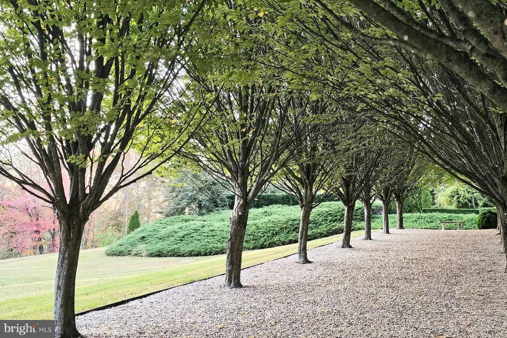 1674 N JAMES MADISON HWY, LOCUST DALE, Virginia 22948, 3 Bedrooms Bedrooms, ,3 BathroomsBathrooms,Residential,14,1674 N JAMES MADISON HWY,VAMA2002402 MLS # VAMA2002402