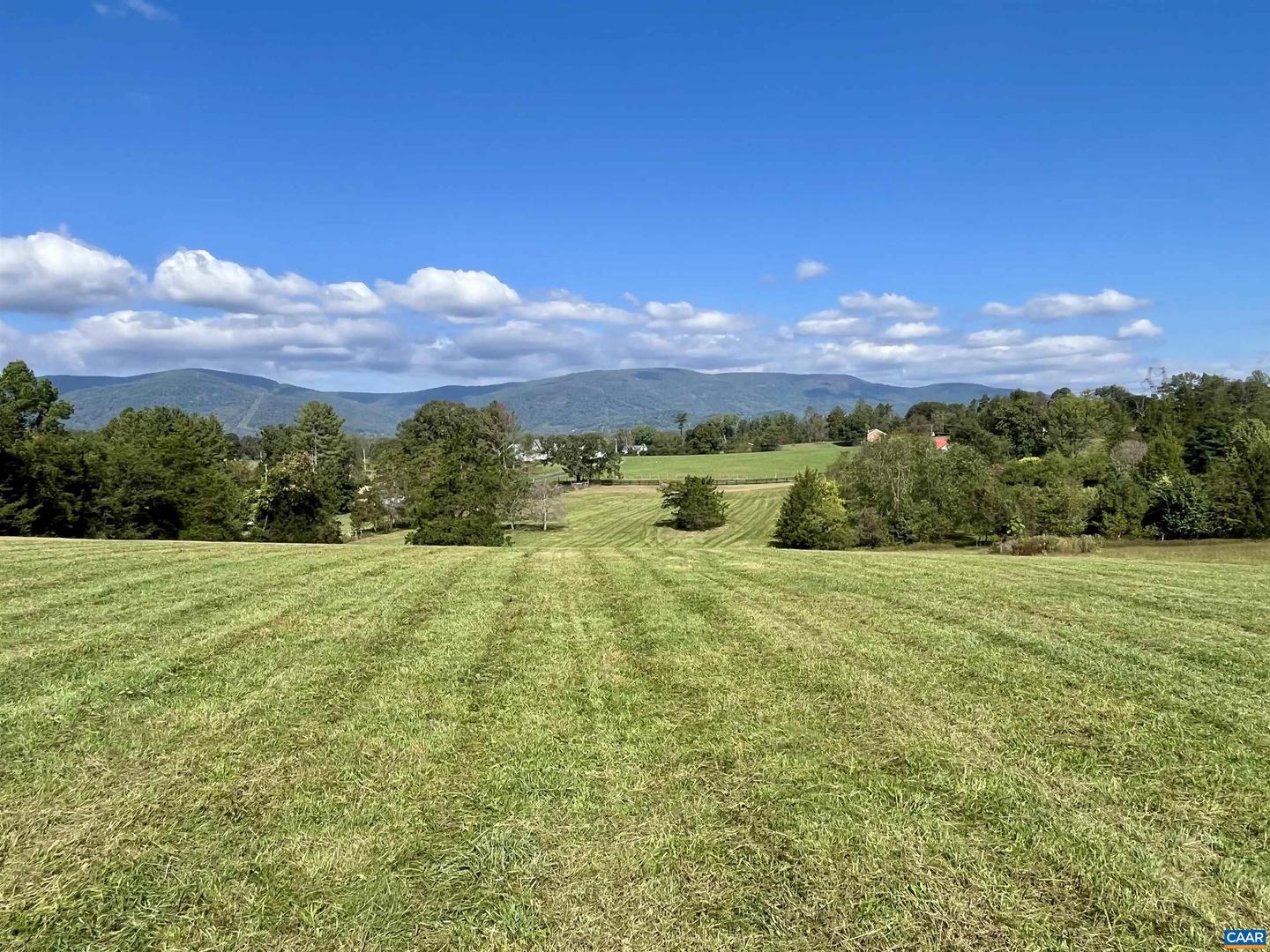 MIDWAY RD, CHARLOTTESVILLE, Virginia 22903, ,Farm,For Sale,MIDWAY RD,669632 MLS # 669632 MIDWAY RD, CHARLOTTESVILLE, Virginia 22903, ,Farm,For Sale,MIDWAY RD,669632 MLS # 669632