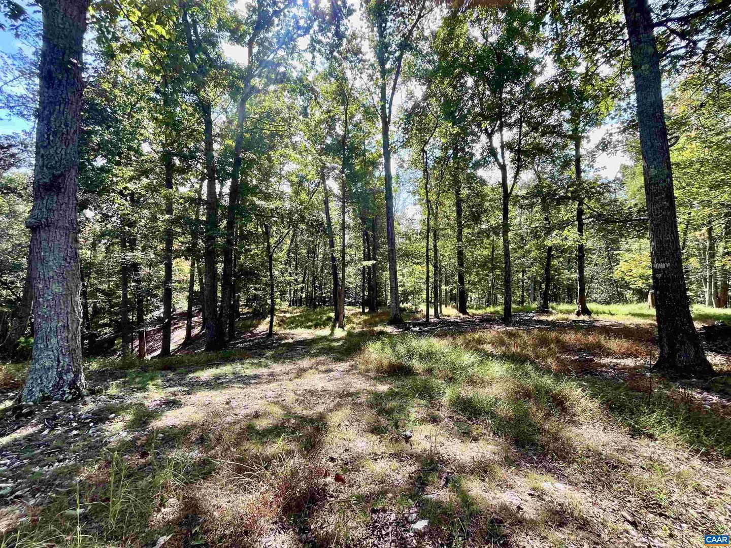 MIDWAY RD, CHARLOTTESVILLE, Virginia 22903, ,Farm,For Sale,MIDWAY RD,669632 MLS # 669632 MIDWAY RD, CHARLOTTESVILLE, Virginia 22903, ,Farm,For Sale,MIDWAY RD,669632 MLS # 669632