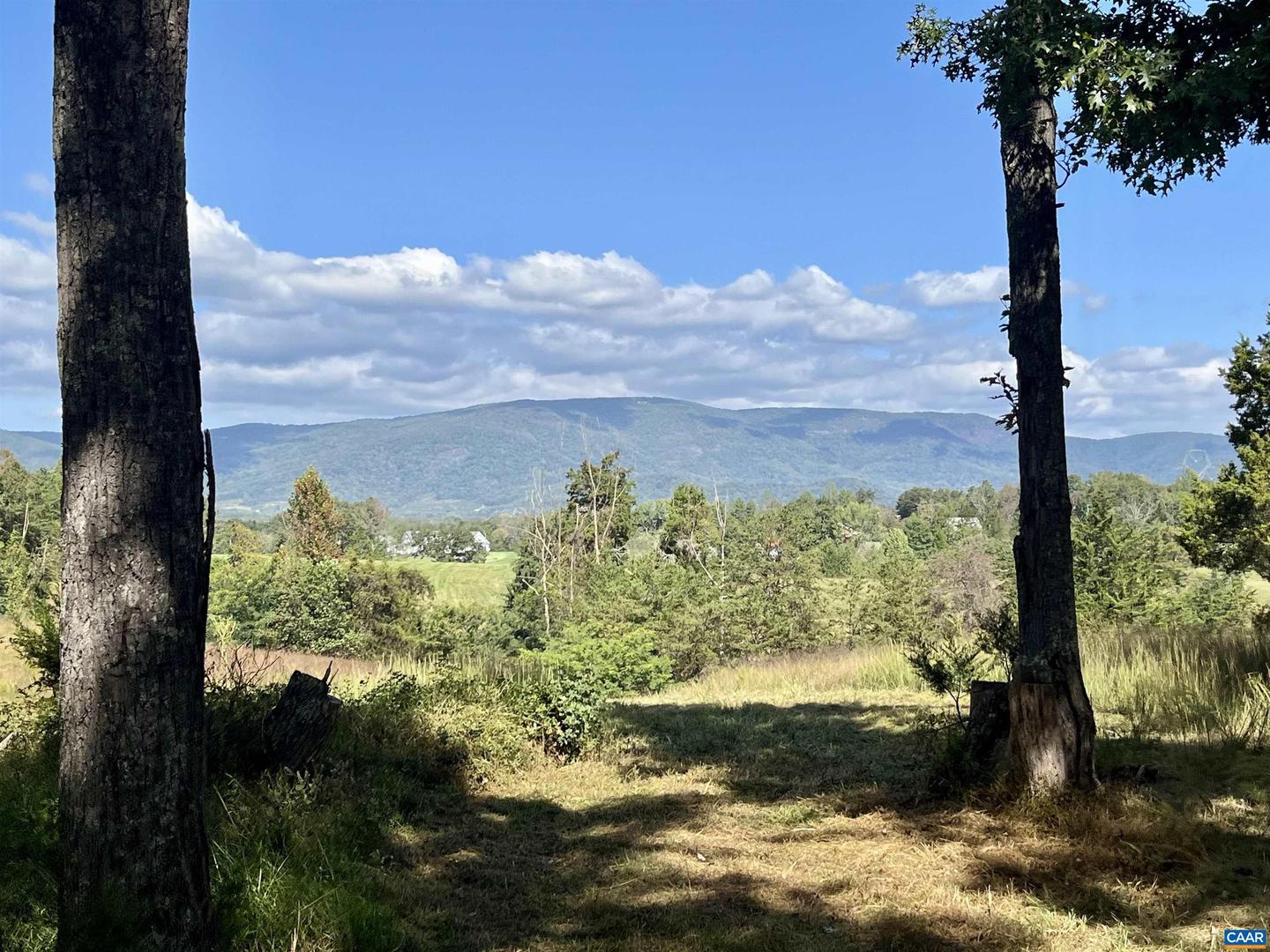 MIDWAY RD, CHARLOTTESVILLE, Virginia 22903, ,Farm,For Sale,MIDWAY RD,669632 MLS # 669632 MIDWAY RD, CHARLOTTESVILLE, Virginia 22903, ,Farm,For Sale,MIDWAY RD,669632 MLS # 669632