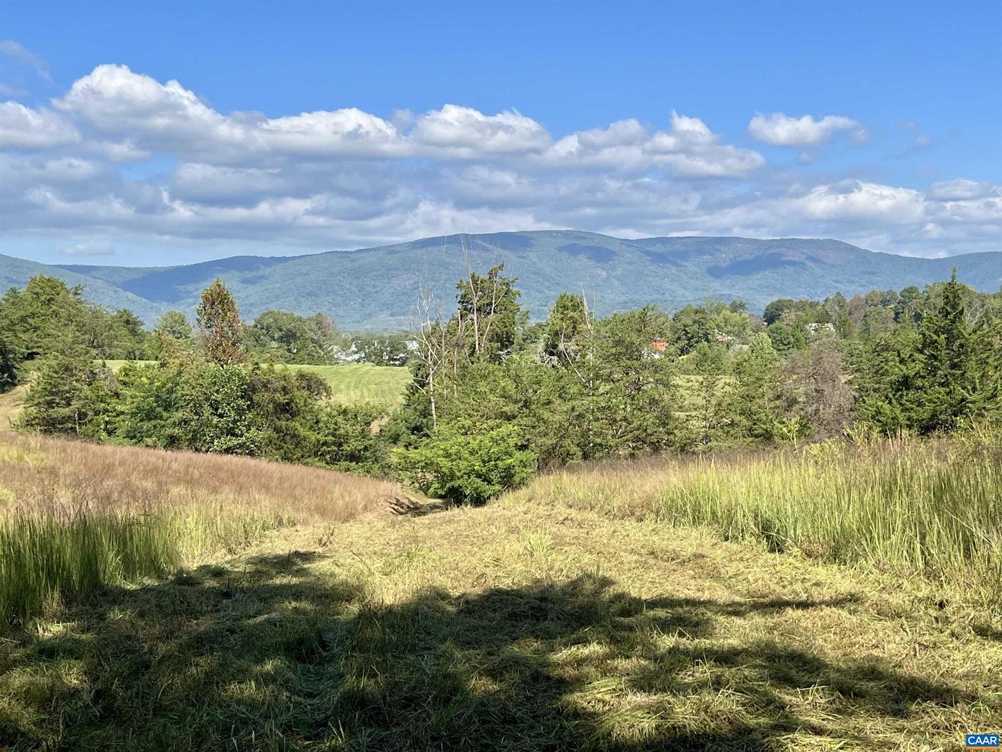 MIDWAY RD, CHARLOTTESVILLE, Virginia 22903, ,Farm,For Sale,MIDWAY RD,669632 MLS # 669632 MIDWAY RD, CHARLOTTESVILLE, Virginia 22903, ,Farm,For Sale,MIDWAY RD,669632 MLS # 669632