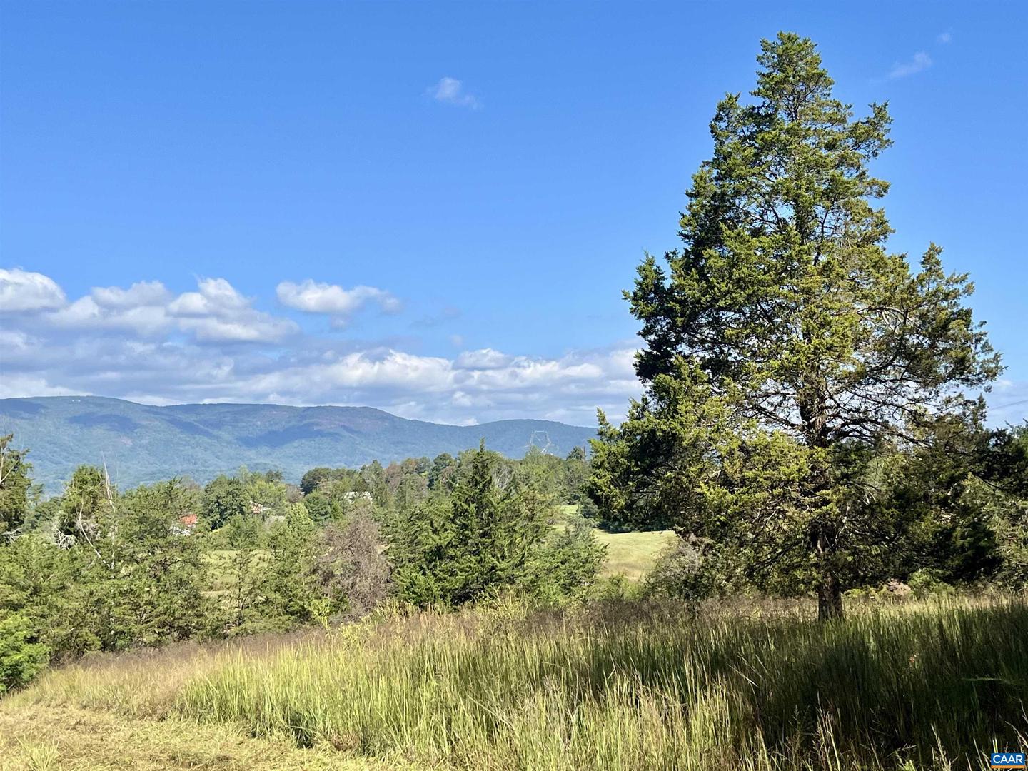 MIDWAY RD, CHARLOTTESVILLE, Virginia 22903, ,Farm,For Sale,MIDWAY RD,669632 MLS # 669632 MIDWAY RD, CHARLOTTESVILLE, Virginia 22903, ,Farm,For Sale,MIDWAY RD,669632 MLS # 669632