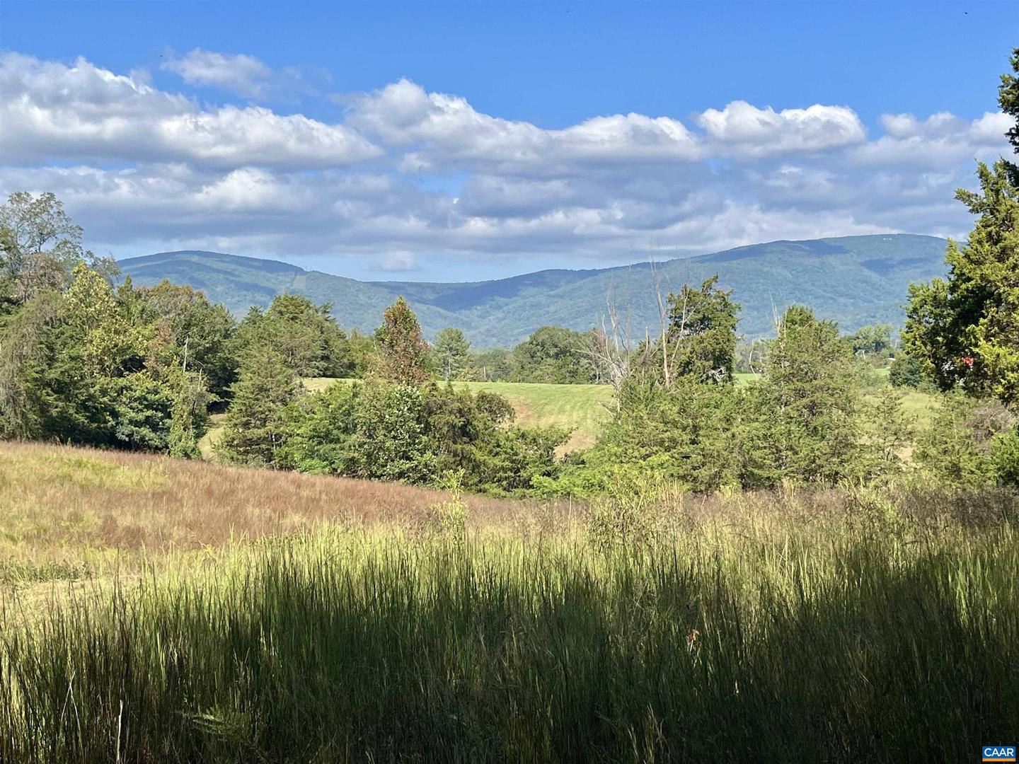 MIDWAY RD, CHARLOTTESVILLE, Virginia 22903, ,Farm,For Sale,MIDWAY RD,669632 MLS # 669632 MIDWAY RD, CHARLOTTESVILLE, Virginia 22903, ,Farm,For Sale,MIDWAY RD,669632 MLS # 669632