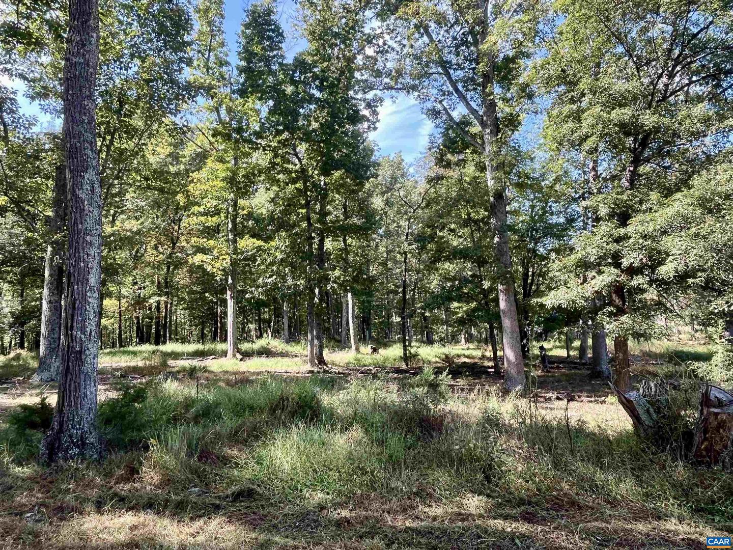 MIDWAY RD, CHARLOTTESVILLE, Virginia 22903, ,Farm,For Sale,MIDWAY RD,669632 MLS # 669632 MIDWAY RD, CHARLOTTESVILLE, Virginia 22903, ,Farm,For Sale,MIDWAY RD,669632 MLS # 669632