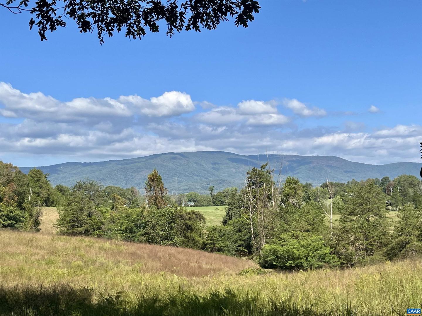 MIDWAY RD, CHARLOTTESVILLE, Virginia 22903, ,Farm,For Sale,MIDWAY RD,669632 MLS # 669632 MIDWAY RD, CHARLOTTESVILLE, Virginia 22903, ,Farm,For Sale,MIDWAY RD,669632 MLS # 669632
