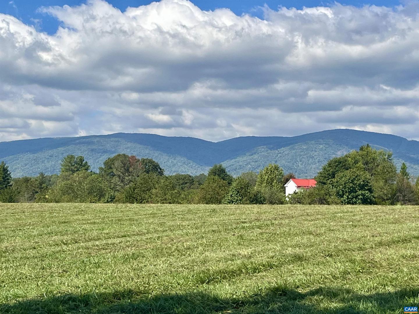 MIDWAY RD, CHARLOTTESVILLE, Virginia 22903, ,Farm,For Sale,MIDWAY RD,669632 MLS # 669632 MIDWAY RD, CHARLOTTESVILLE, Virginia 22903, ,Farm,For Sale,MIDWAY RD,669632 MLS # 669632