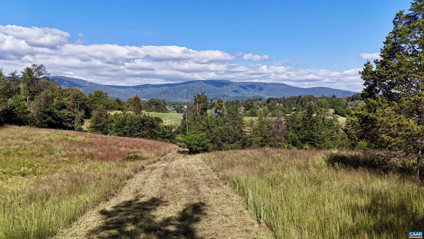 MIDWAY RD, CHARLOTTESVILLE, Virginia 22903, ,Farm,For Sale,MIDWAY RD,669632 MLS # 669632 MIDWAY RD, CHARLOTTESVILLE, Virginia 22903, ,Farm,For Sale,MIDWAY RD,669632 MLS # 669632