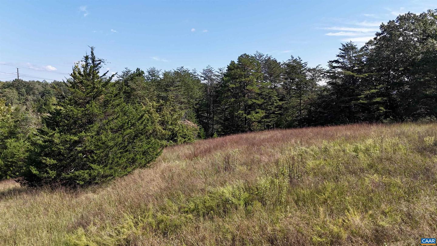 MIDWAY RD, CHARLOTTESVILLE, Virginia 22903, ,Farm,For Sale,MIDWAY RD,669632 MLS # 669632 MIDWAY RD, CHARLOTTESVILLE, Virginia 22903, ,Farm,For Sale,MIDWAY RD,669632 MLS # 669632