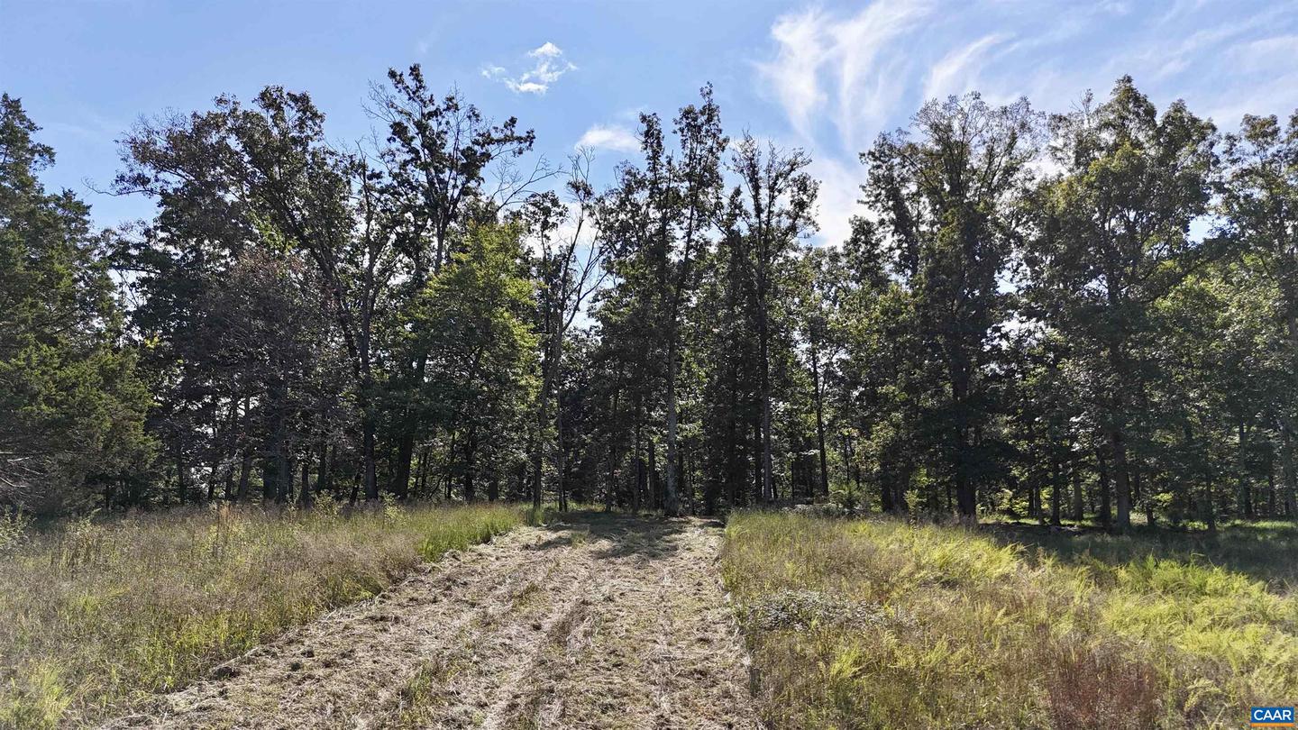 MIDWAY RD, CHARLOTTESVILLE, Virginia 22903, ,Farm,For Sale,MIDWAY RD,669632 MLS # 669632 MIDWAY RD, CHARLOTTESVILLE, Virginia 22903, ,Farm,For Sale,MIDWAY RD,669632 MLS # 669632