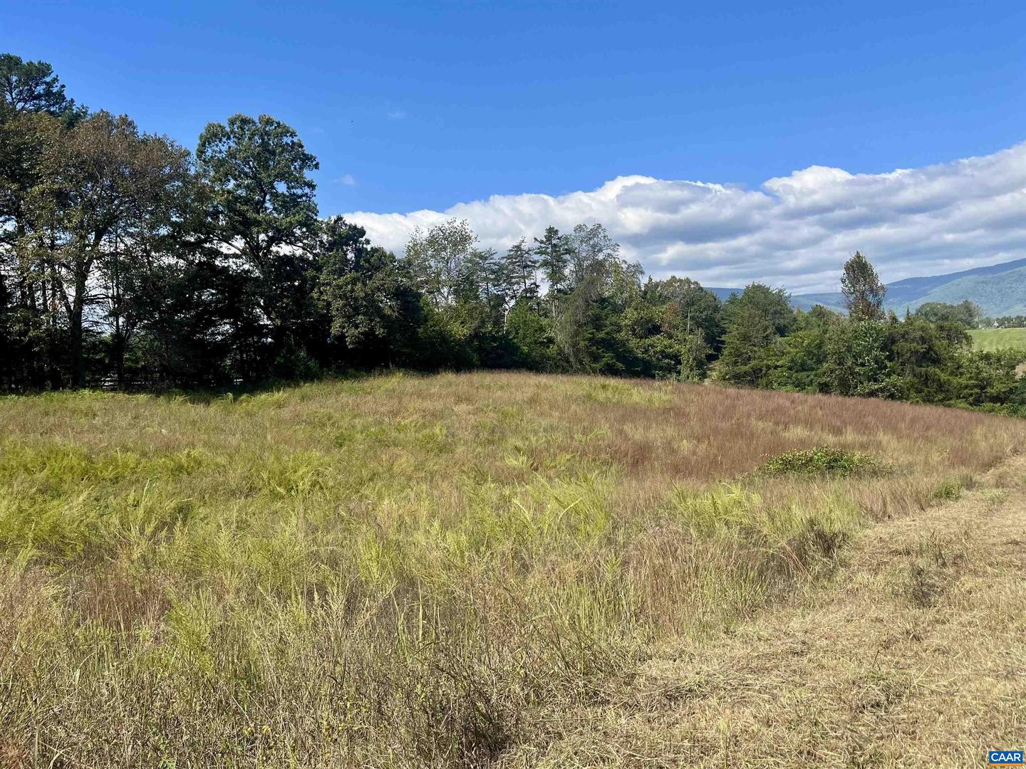 MIDWAY RD, CHARLOTTESVILLE, Virginia 22903, ,Farm,For Sale,MIDWAY RD,669632 MLS # 669632 MIDWAY RD, CHARLOTTESVILLE, Virginia 22903, ,Farm,For Sale,MIDWAY RD,669632 MLS # 669632