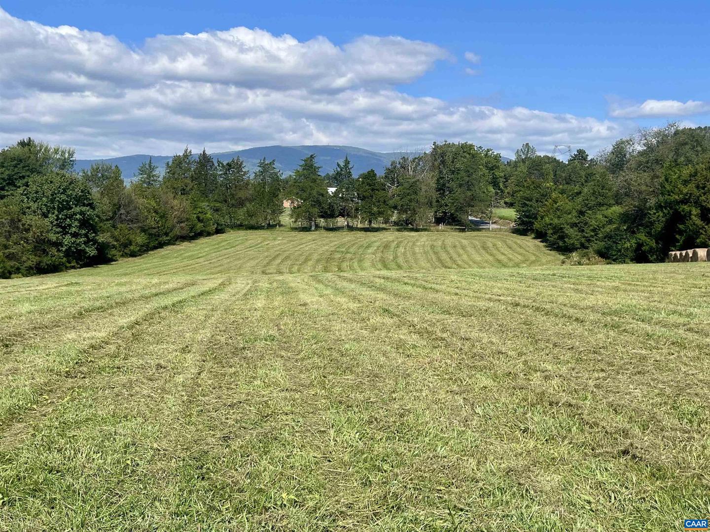 MIDWAY RD, CHARLOTTESVILLE, Virginia 22903, ,Farm,For Sale,MIDWAY RD,669632 MLS # 669632 MIDWAY RD, CHARLOTTESVILLE, Virginia 22903, ,Farm,For Sale,MIDWAY RD,669632 MLS # 669632