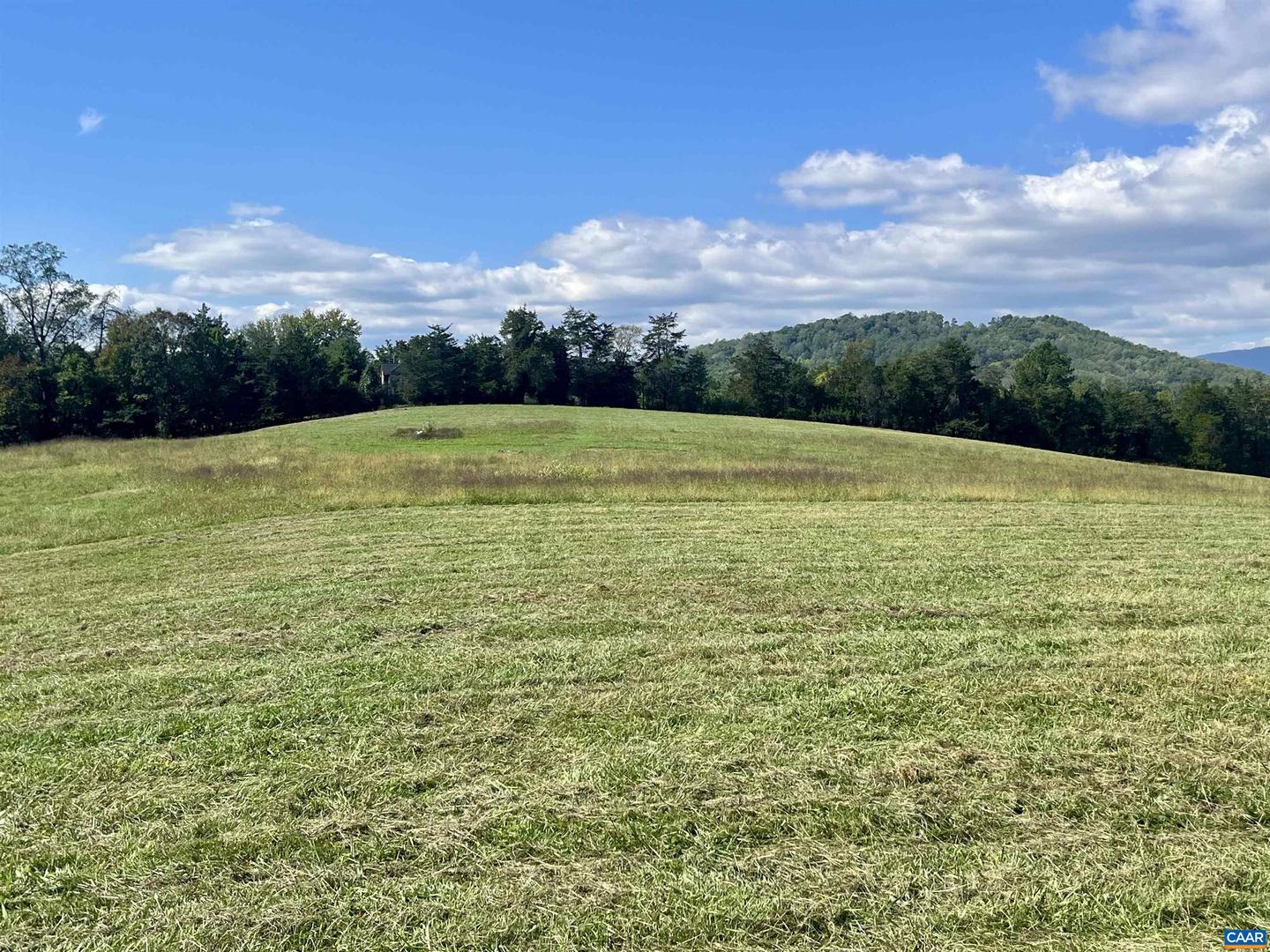 MIDWAY RD, CHARLOTTESVILLE, Virginia 22903, ,Farm,For Sale,MIDWAY RD,669632 MLS # 669632 MIDWAY RD, CHARLOTTESVILLE, Virginia 22903, ,Farm,For Sale,MIDWAY RD,669632 MLS # 669632