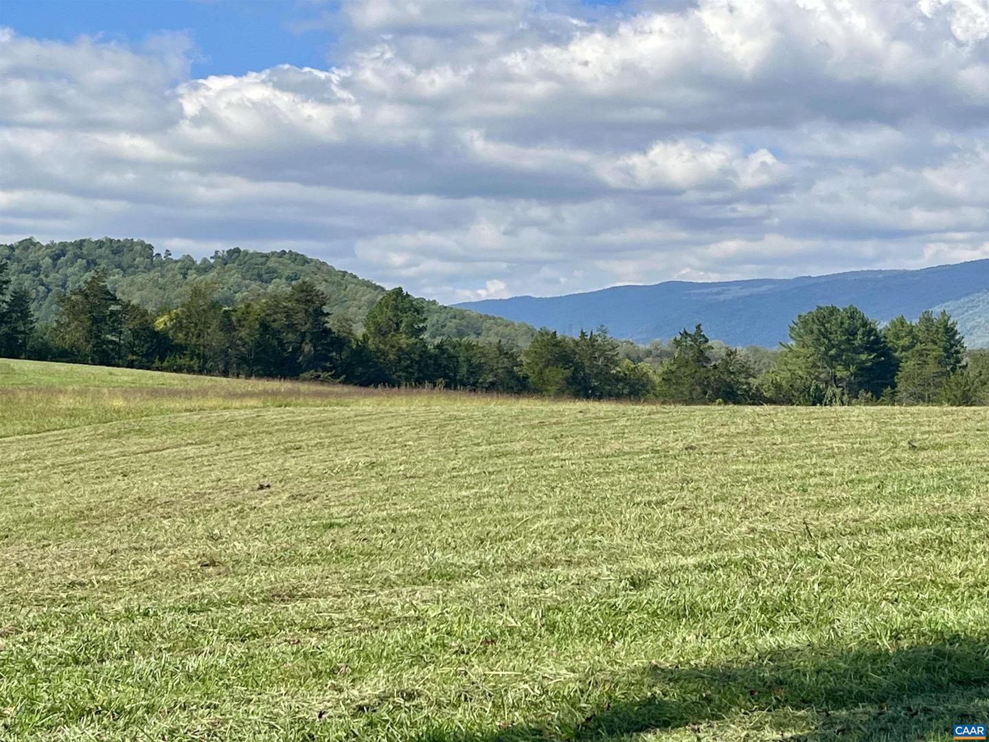 MIDWAY RD, CHARLOTTESVILLE, Virginia 22903, ,Farm,For Sale,MIDWAY RD,669632 MLS # 669632 MIDWAY RD, CHARLOTTESVILLE, Virginia 22903, ,Farm,For Sale,MIDWAY RD,669632 MLS # 669632