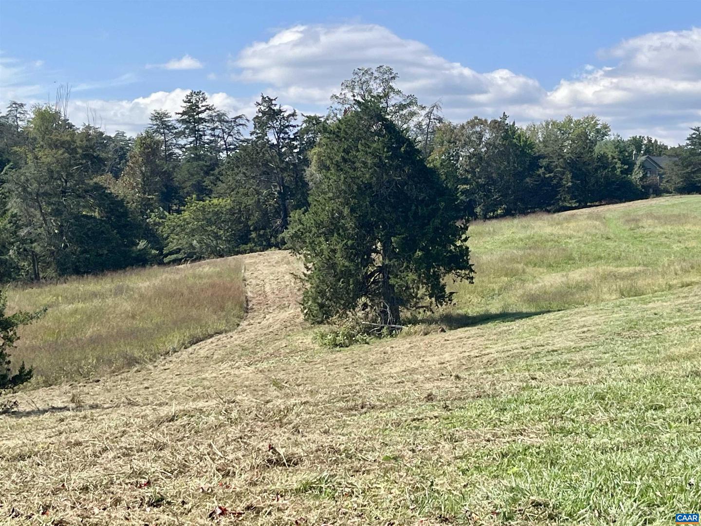 MIDWAY RD, CHARLOTTESVILLE, Virginia 22903, ,Farm,For Sale,MIDWAY RD,669632 MLS # 669632 MIDWAY RD, CHARLOTTESVILLE, Virginia 22903, ,Farm,For Sale,MIDWAY RD,669632 MLS # 669632