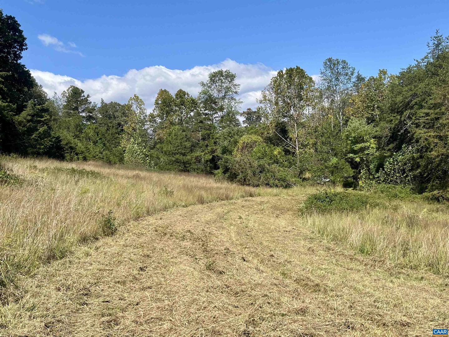 MIDWAY RD, CHARLOTTESVILLE, Virginia 22903, ,Farm,For Sale,MIDWAY RD,669632 MLS # 669632 MIDWAY RD, CHARLOTTESVILLE, Virginia 22903, ,Farm,For Sale,MIDWAY RD,669632 MLS # 669632