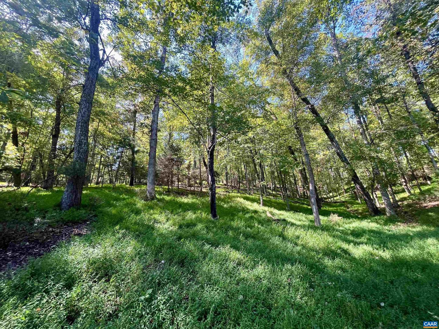 MIDWAY RD, CHARLOTTESVILLE, Virginia 22903, ,Farm,For Sale,MIDWAY RD,669632 MLS # 669632 MIDWAY RD, CHARLOTTESVILLE, Virginia 22903, ,Farm,For Sale,MIDWAY RD,669632 MLS # 669632
