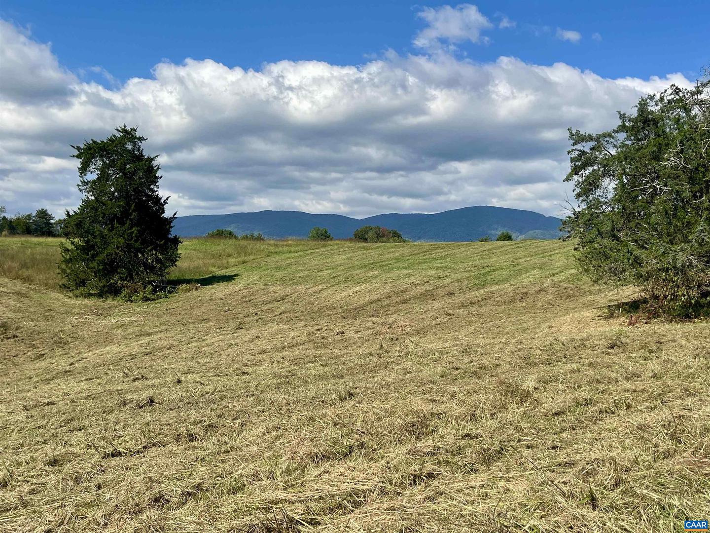 MIDWAY RD, CHARLOTTESVILLE, Virginia 22903, ,Farm,For Sale,MIDWAY RD,669632 MLS # 669632 MIDWAY RD, CHARLOTTESVILLE, Virginia 22903, ,Farm,For Sale,MIDWAY RD,669632 MLS # 669632