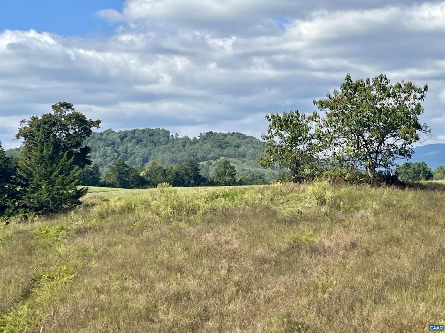 MIDWAY RD, CHARLOTTESVILLE, Virginia 22903, ,Farm,For Sale,MIDWAY RD,669632 MLS # 669632 MIDWAY RD, CHARLOTTESVILLE, Virginia 22903, ,Farm,For Sale,MIDWAY RD,669632 MLS # 669632