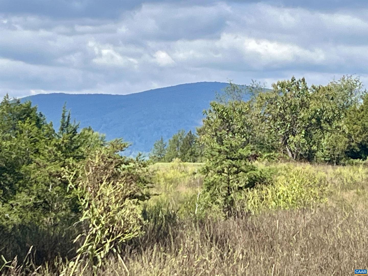 MIDWAY RD, CHARLOTTESVILLE, Virginia 22903, ,Farm,For Sale,MIDWAY RD,669632 MLS # 669632 MIDWAY RD, CHARLOTTESVILLE, Virginia 22903, ,Farm,For Sale,MIDWAY RD,669632 MLS # 669632