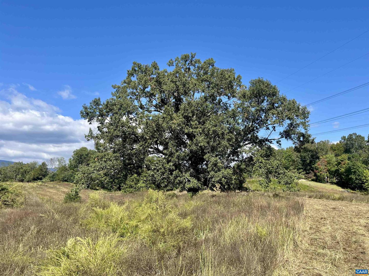 MIDWAY RD, CHARLOTTESVILLE, Virginia 22903, ,Farm,For Sale,MIDWAY RD,669632 MLS # 669632 MIDWAY RD, CHARLOTTESVILLE, Virginia 22903, ,Farm,For Sale,MIDWAY RD,669632 MLS # 669632