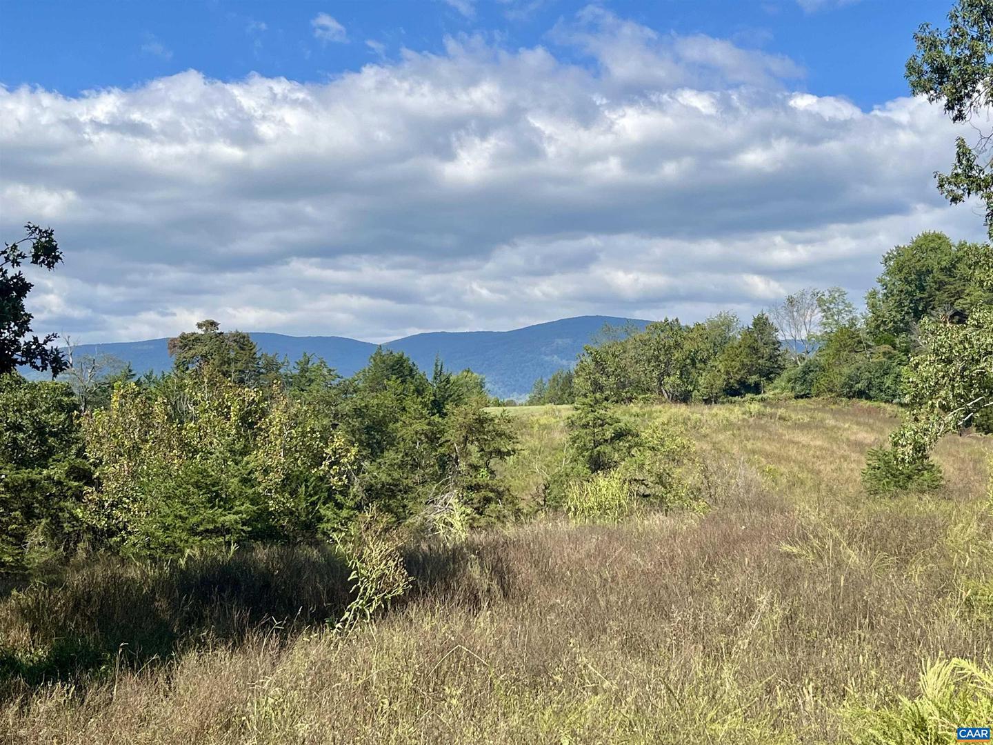 MIDWAY RD, CHARLOTTESVILLE, Virginia 22903, ,Farm,For Sale,MIDWAY RD,669632 MLS # 669632 MIDWAY RD, CHARLOTTESVILLE, Virginia 22903, ,Farm,For Sale,MIDWAY RD,669632 MLS # 669632
