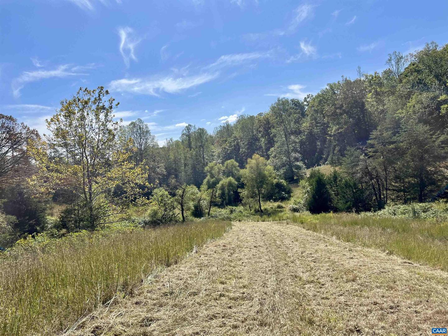 MIDWAY RD, CHARLOTTESVILLE, Virginia 22903, ,Farm,For Sale,MIDWAY RD,669632 MLS # 669632 MIDWAY RD, CHARLOTTESVILLE, Virginia 22903, ,Farm,For Sale,MIDWAY RD,669632 MLS # 669632