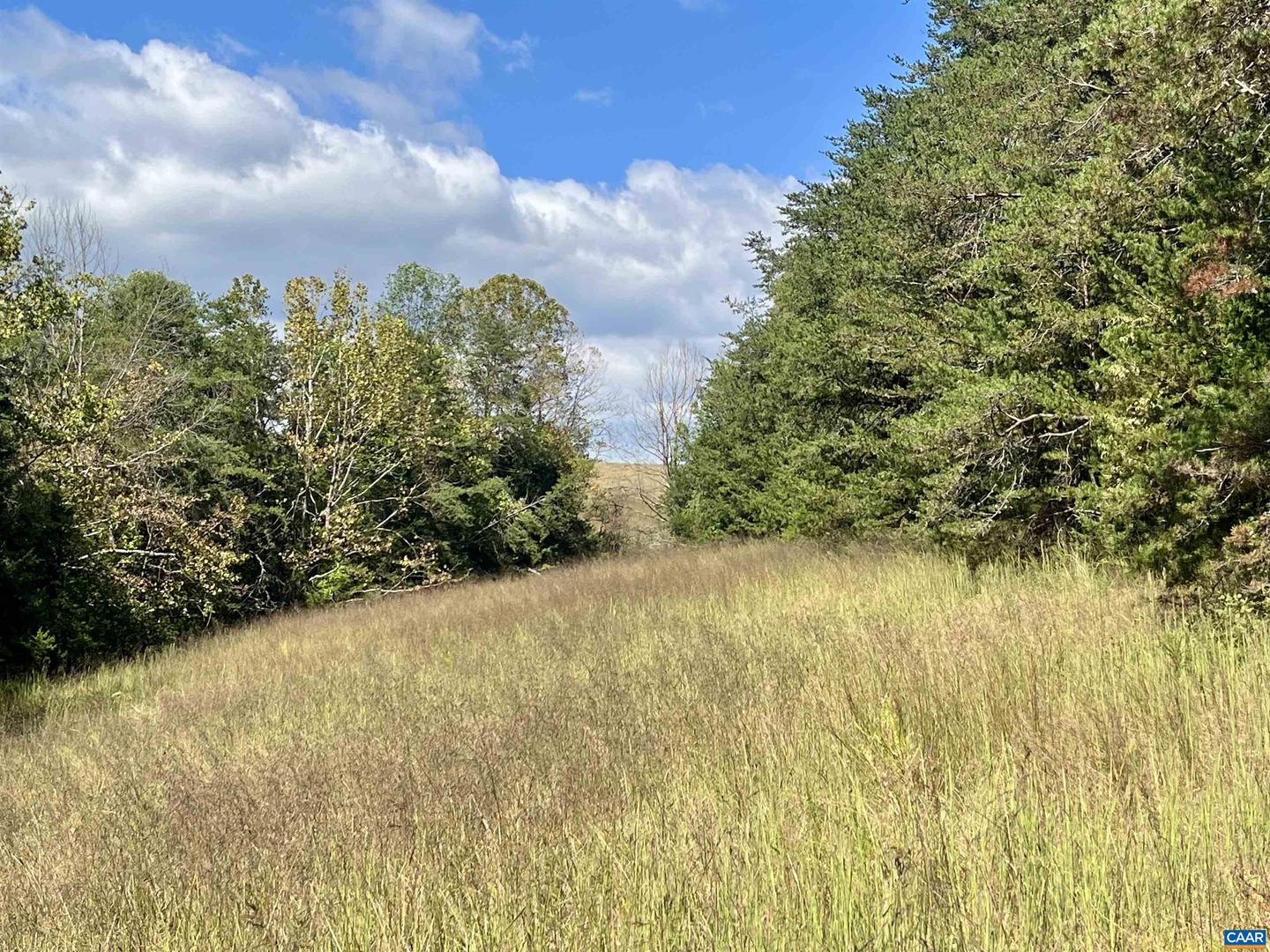 MIDWAY RD, CHARLOTTESVILLE, Virginia 22903, ,Farm,For Sale,MIDWAY RD,669632 MLS # 669632 MIDWAY RD, CHARLOTTESVILLE, Virginia 22903, ,Farm,For Sale,MIDWAY RD,669632 MLS # 669632