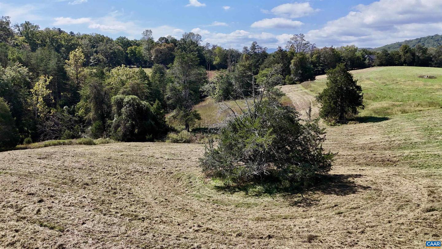 MIDWAY RD, CHARLOTTESVILLE, Virginia 22903, ,Farm,For Sale,MIDWAY RD,669632 MLS # 669632 MIDWAY RD, CHARLOTTESVILLE, Virginia 22903, ,Farm,For Sale,MIDWAY RD,669632 MLS # 669632