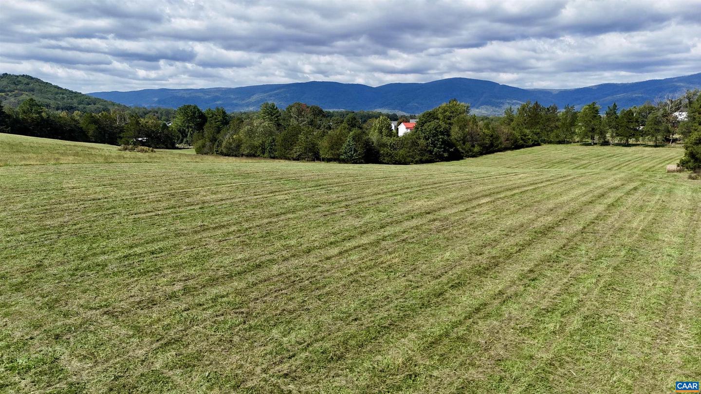 MIDWAY RD, CHARLOTTESVILLE, Virginia 22903, ,Farm,For Sale,MIDWAY RD,669632 MLS # 669632 MIDWAY RD, CHARLOTTESVILLE, Virginia 22903, ,Farm,For Sale,MIDWAY RD,669632 MLS # 669632
