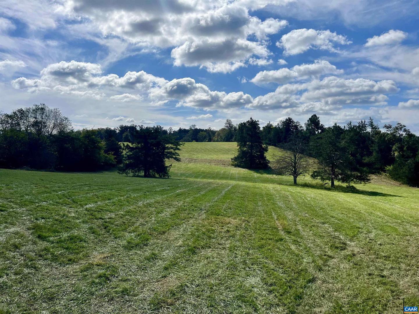 MIDWAY RD, CHARLOTTESVILLE, Virginia 22903, ,Farm,For Sale,MIDWAY RD,669632 MLS # 669632 MIDWAY RD, CHARLOTTESVILLE, Virginia 22903, ,Farm,For Sale,MIDWAY RD,669632 MLS # 669632