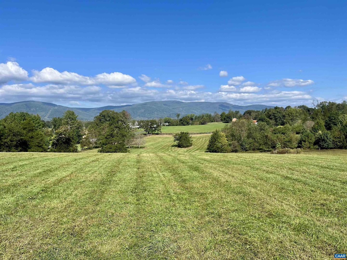 MIDWAY RD, CHARLOTTESVILLE, Virginia 22903, ,Farm,For Sale,MIDWAY RD,669632 MLS # 669632 MIDWAY RD, CHARLOTTESVILLE, Virginia 22903, ,Farm,For Sale,MIDWAY RD,669632 MLS # 669632