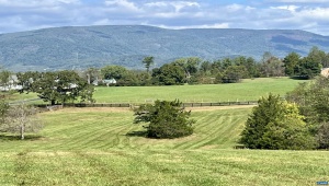 MIDWAY RD CHARLOTTESVILLE Virginia 22903