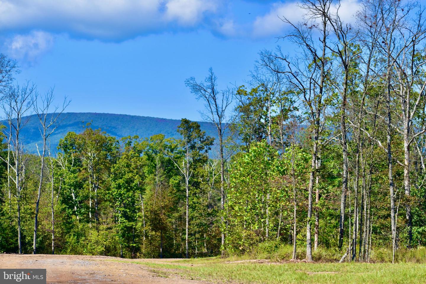 158.5 ACRES LOT 3 LAUREL GROVE RD., WINCHESTER, Virginia 22602, ,Farm,For Sale,158.5 ACRES LOT 3 LAUREL GROVE RD.,VAFV2037192 MLS # VAFV2037192 158.5 ACRES LOT 3 LAUREL GROVE RD., WINCHESTER, Virginia 22602, ,Farm,For Sale,158.5 ACRES LOT 3 LAUREL GROVE RD.,VAFV2037192 MLS # VAFV2037192