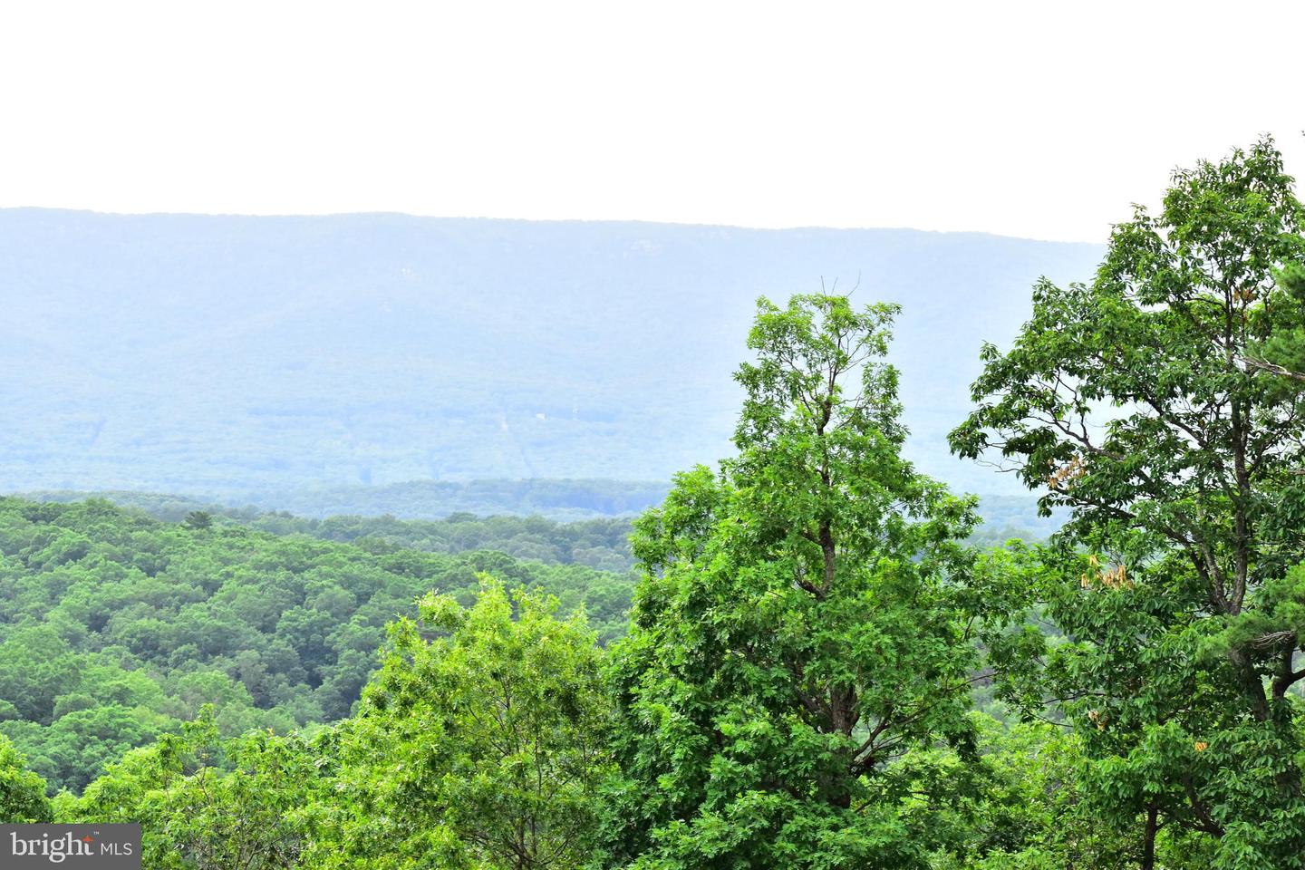 158.5 ACRES LOT 3 LAUREL GROVE RD., WINCHESTER, Virginia 22602, ,Farm,For Sale,158.5 ACRES LOT 3 LAUREL GROVE RD.,VAFV2037192 MLS # VAFV2037192 158.5 ACRES LOT 3 LAUREL GROVE RD., WINCHESTER, Virginia 22602, ,Farm,For Sale,158.5 ACRES LOT 3 LAUREL GROVE RD.,VAFV2037192 MLS # VAFV2037192