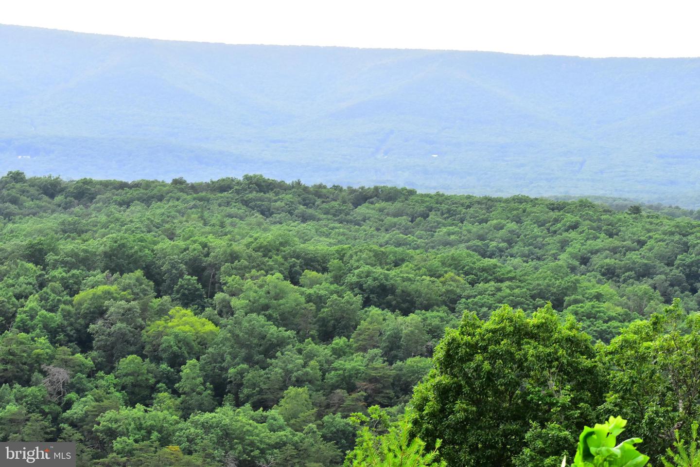158.5 ACRES LOT 3 LAUREL GROVE RD., WINCHESTER, Virginia 22602, ,Farm,For Sale,158.5 ACRES LOT 3 LAUREL GROVE RD.,VAFV2037192 MLS # VAFV2037192 158.5 ACRES LOT 3 LAUREL GROVE RD., WINCHESTER, Virginia 22602, ,Farm,For Sale,158.5 ACRES LOT 3 LAUREL GROVE RD.,VAFV2037192 MLS # VAFV2037192