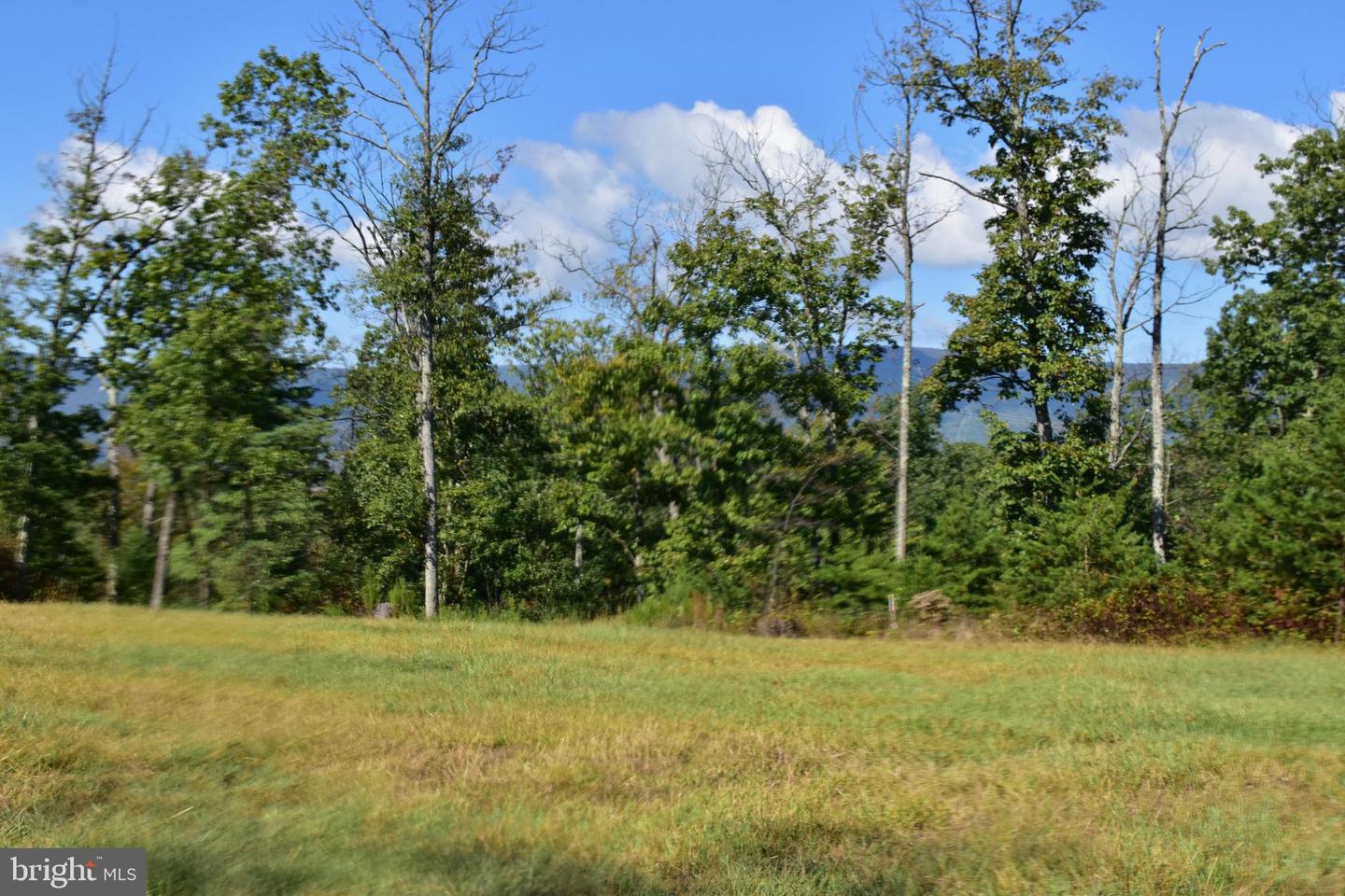 158.5 ACRES LOT 3 LAUREL GROVE RD., WINCHESTER, Virginia 22602, ,Farm,For Sale,158.5 ACRES LOT 3 LAUREL GROVE RD.,VAFV2037192 MLS # VAFV2037192 158.5 ACRES LOT 3 LAUREL GROVE RD., WINCHESTER, Virginia 22602, ,Farm,For Sale,158.5 ACRES LOT 3 LAUREL GROVE RD.,VAFV2037192 MLS # VAFV2037192