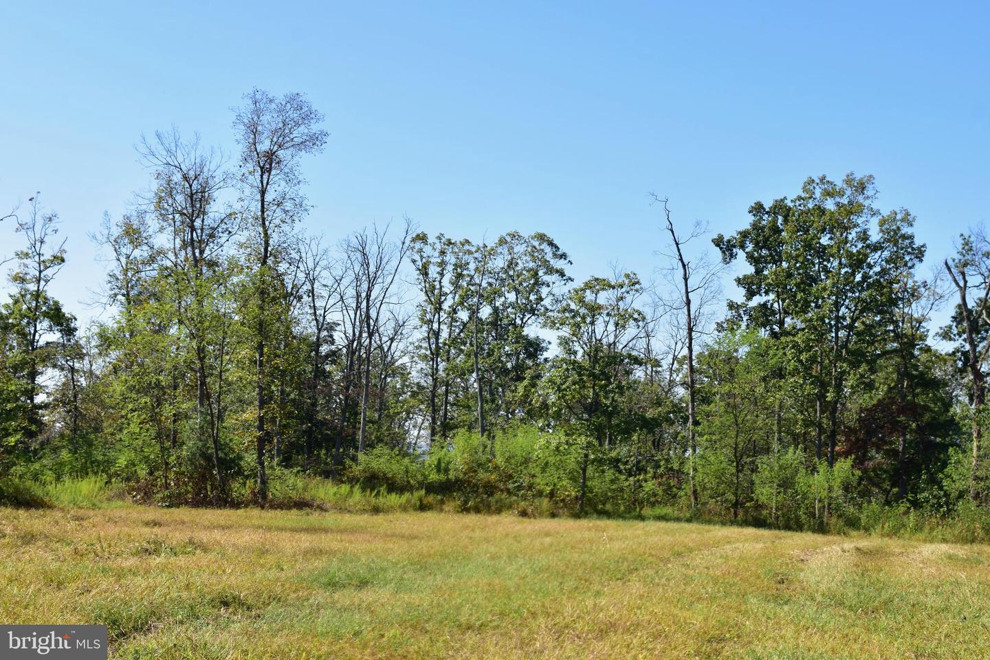 158.5 ACRES LOT 3 LAUREL GROVE RD., WINCHESTER, Virginia 22602, ,Farm,For Sale,158.5 ACRES LOT 3 LAUREL GROVE RD.,VAFV2037192 MLS # VAFV2037192 158.5 ACRES LOT 3 LAUREL GROVE RD., WINCHESTER, Virginia 22602, ,Farm,For Sale,158.5 ACRES LOT 3 LAUREL GROVE RD.,VAFV2037192 MLS # VAFV2037192