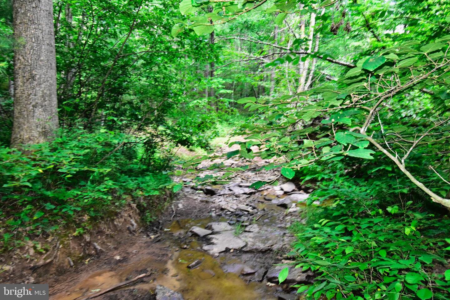 158.5 ACRES LOT 3 LAUREL GROVE RD., WINCHESTER, Virginia 22602, ,Farm,For Sale,158.5 ACRES LOT 3 LAUREL GROVE RD.,VAFV2037192 MLS # VAFV2037192 158.5 ACRES LOT 3 LAUREL GROVE RD., WINCHESTER, Virginia 22602, ,Farm,For Sale,158.5 ACRES LOT 3 LAUREL GROVE RD.,VAFV2037192 MLS # VAFV2037192